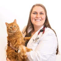 Dr. Elizabeth Dorwart