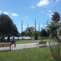 omer fowzi
