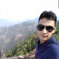 vikrant Teotia