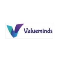 Valueminds Techno Solutions