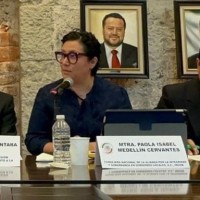 Paola Medellin Cervantes