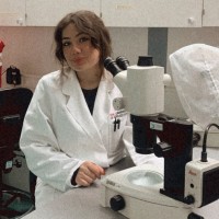 Nour Alsafadi