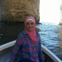 Dr.Eng.Ikhlas Shajrawi