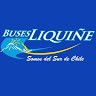 Buses Liquine