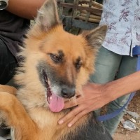 Chinaa Chinu