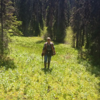 Antoinette Bailey-Morgan