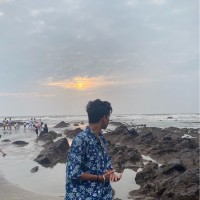 Divyaraj Singh Panwar