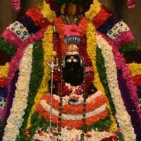 Harish Reddy
