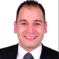 Hossam Nageeb