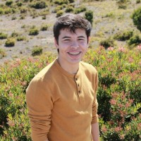 Hansel Mora