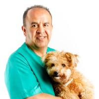 Carlos Alberto Gutiérrez Vázquez