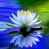 Vijay Ananth