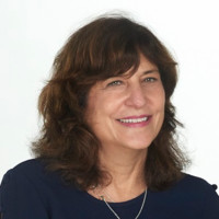 Laura N. Gitlin