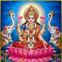 Arjun Kushwaha