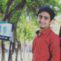 Ronak Prajapati