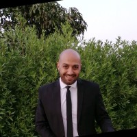 Moatassem Abouelnaga
