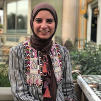 Dina Amr Hassan