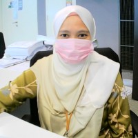 Ts. Rozaini Ismail