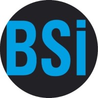 BSİ Tercüme  ve Danışmanlık Hizmetleri- Ankara Yeminli Tercüme