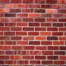 Shane Yeo [Redbrick]