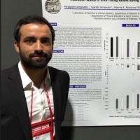 Panagiotis Verginadis