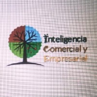 Inteligencia Comercial y Empresarial