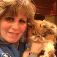 Cheri Craft