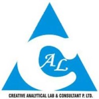 Creative Analytical Lab and Consultant