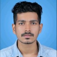 Saran Krishna M
