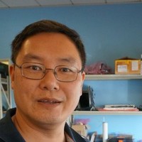 Derek Wong
