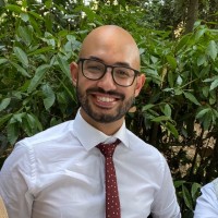 Daniele Palaferri
