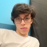 Lucas Lima Perini