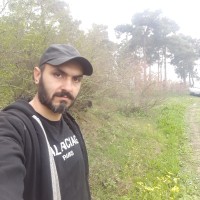 Dariush Rokhbin