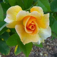 raghapriya senthilnathan