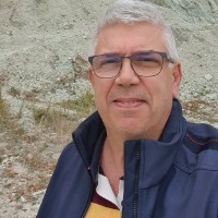 viorel ene