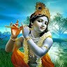 Bhavik Borad