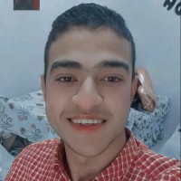 Mahmoud Tarek