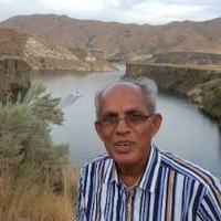 Ramamoorthy Palakrishna Naicker