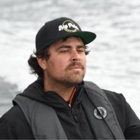 Joe Raimondi