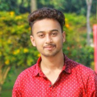 Ratul Roy