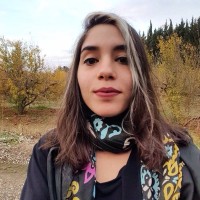 Yağmur Alev
