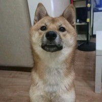 王乐亭