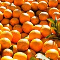 Yasir Abid