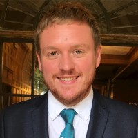 Dan Stedman