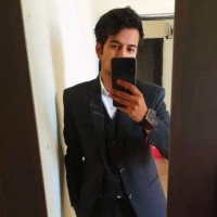 Vimal Mogha