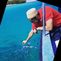Taher Jamaly