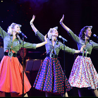 The Spinettes