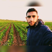 Ahmed Elhakami