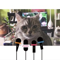 张继元