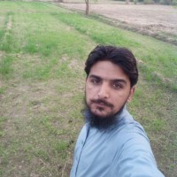 Hamza Nadeem